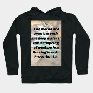 Proverbs 18:4 Man's Words Bible Verse Hoodie